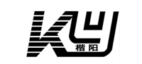 龙珠体育